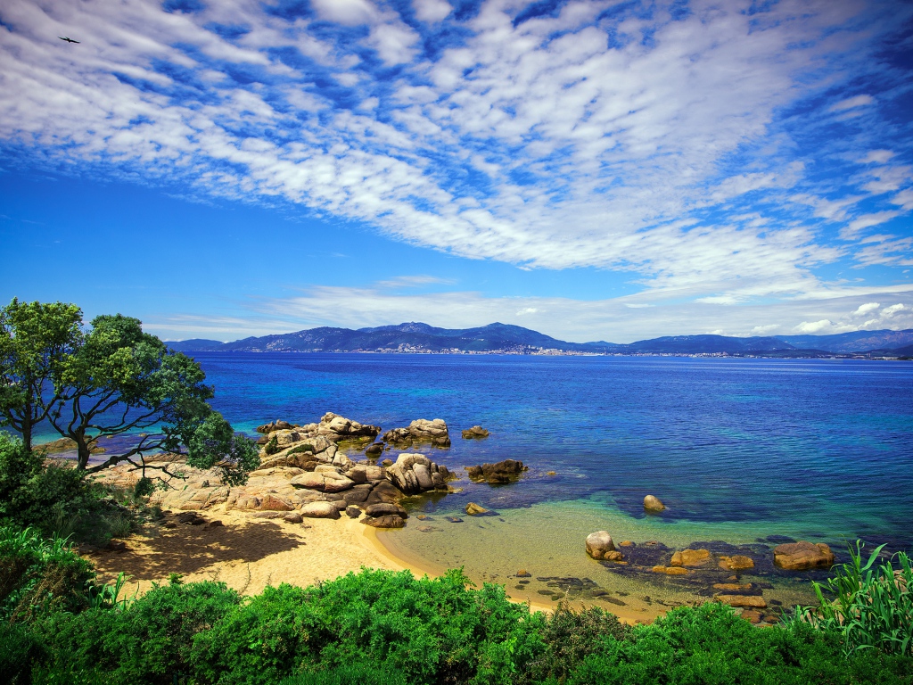 beach_sky_grass_sea_beautiful_scenery_86926_1024x768